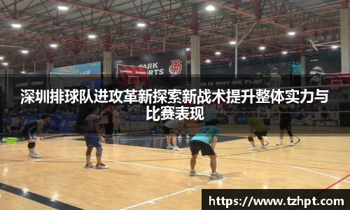 深圳排球队进攻革新探索新战术提升整体实力与比赛表现